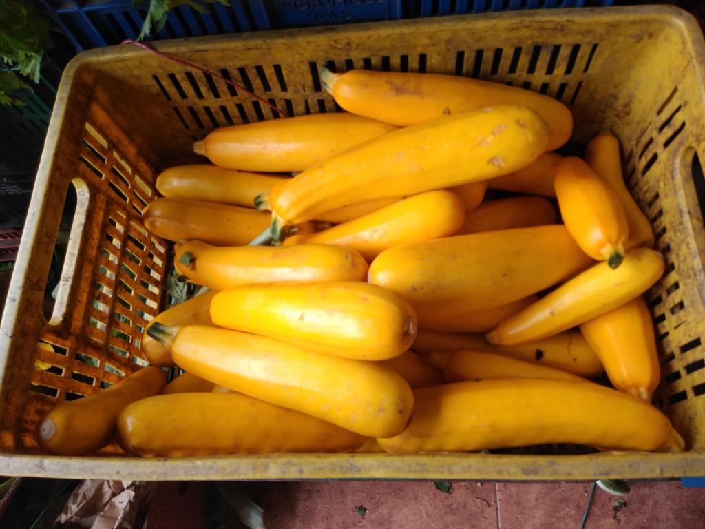 Zuccini