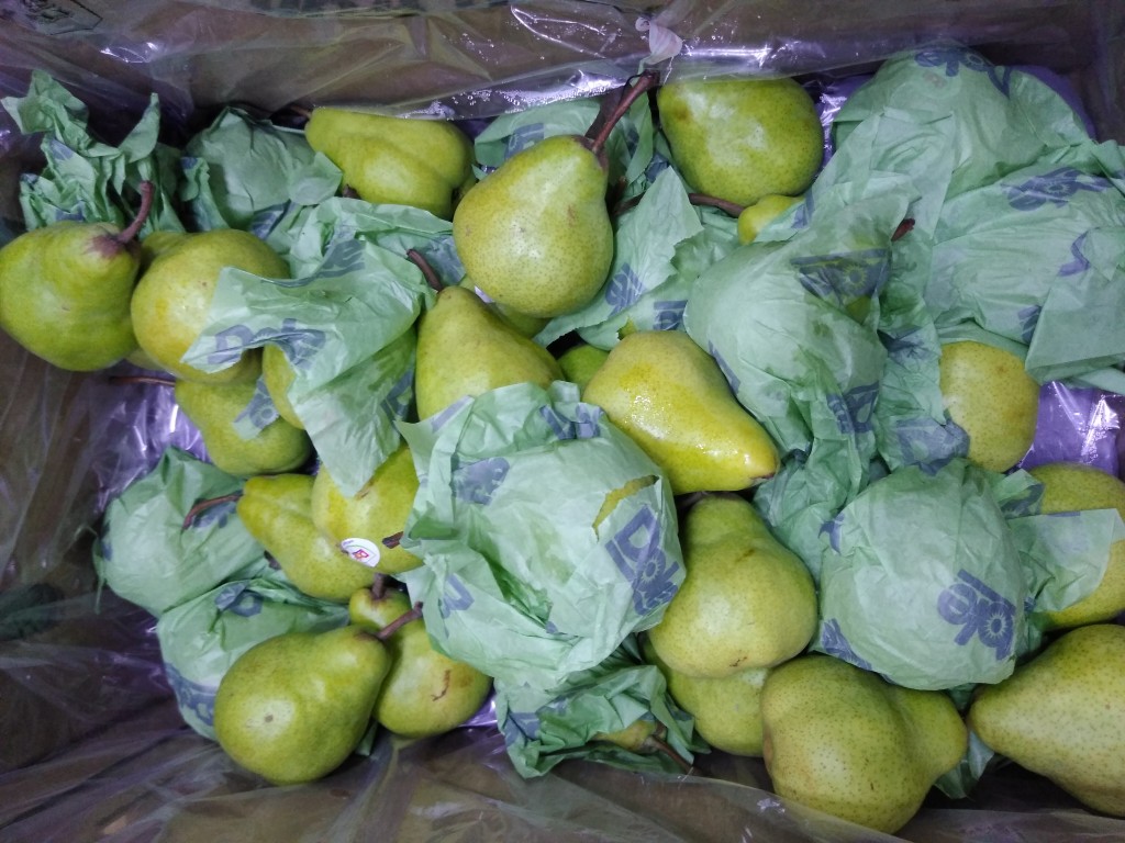 Pera chilena