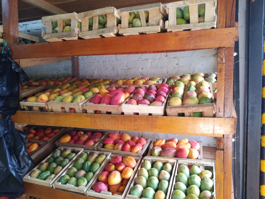 Mango reina