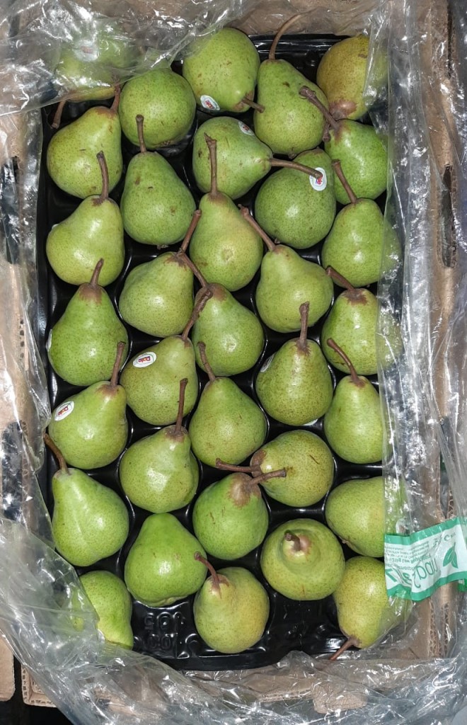PERA C165