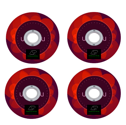 Ubuntu 18.4 adjunto.