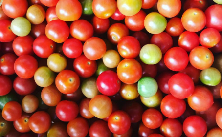 Tomate Cherri