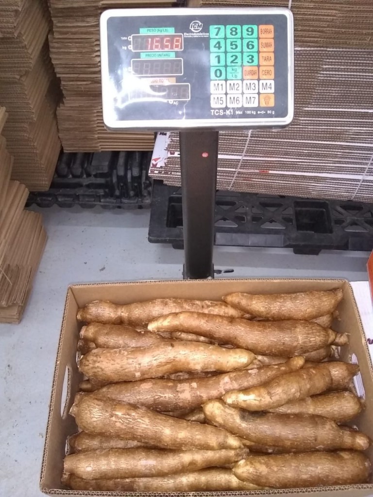 YUCA Bolsas de 30 kilos