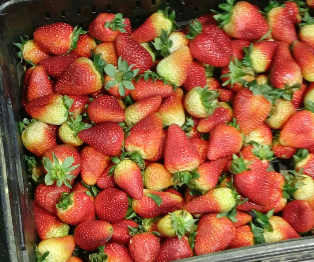 Fresas de primera