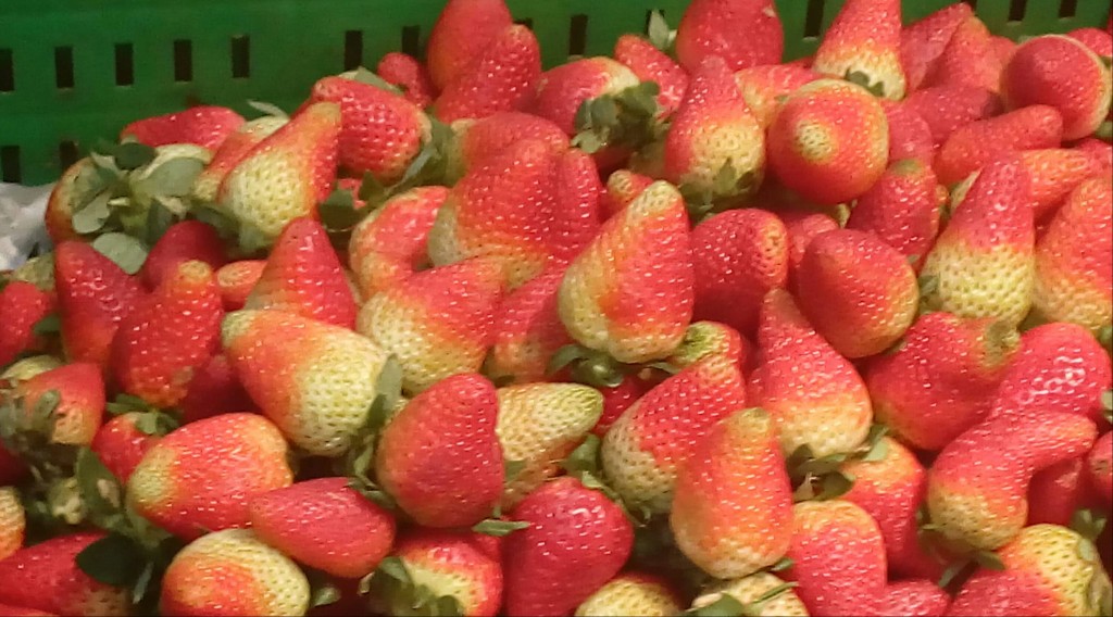 Fresas de segunda