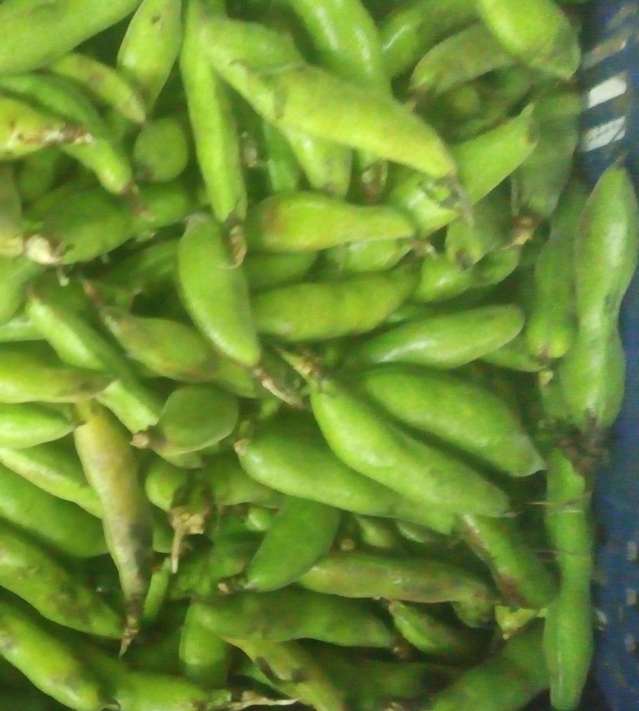 Abas en cáscara