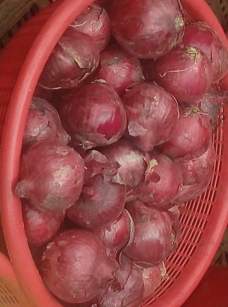 Cebolla cabezona morada