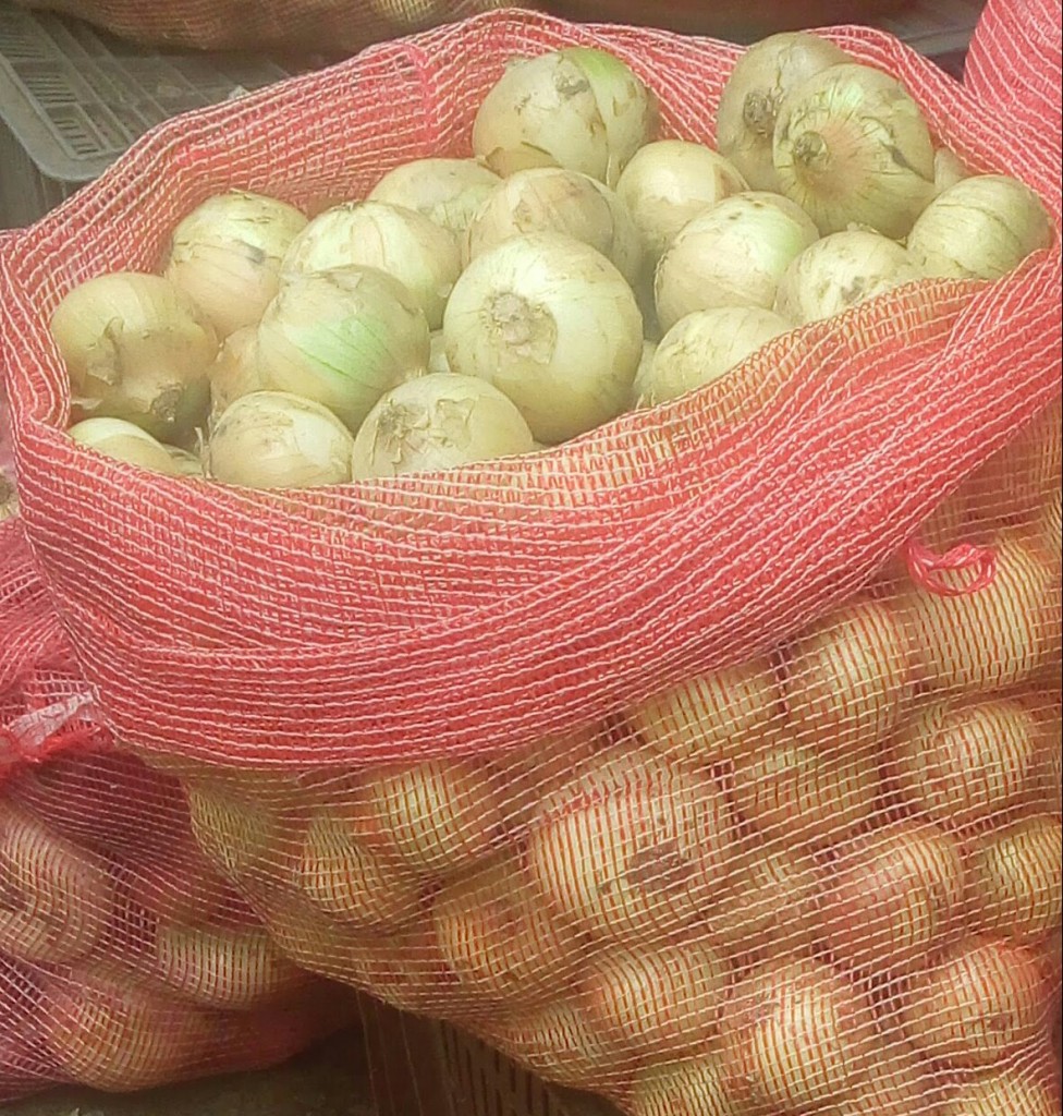 Cebolla cabezona