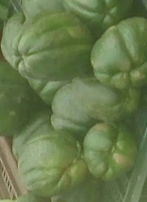 Cidra