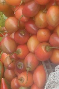 Tomate de árbol