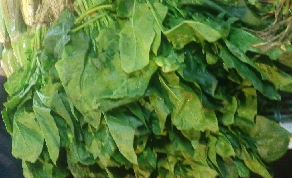 Espinacas