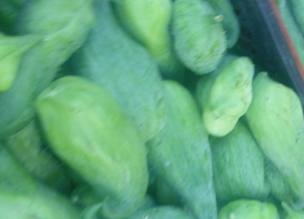 Pepino de guiso