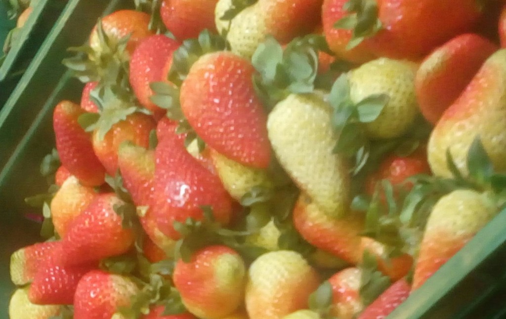 Fresas