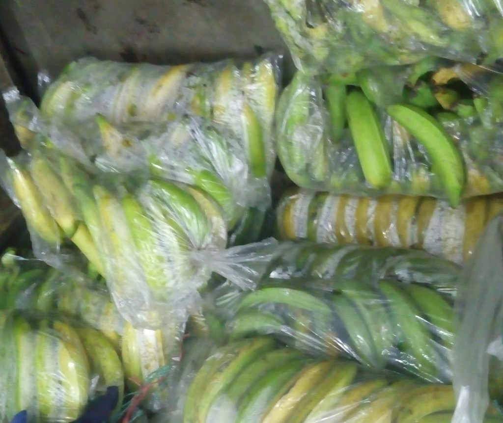 Plátano