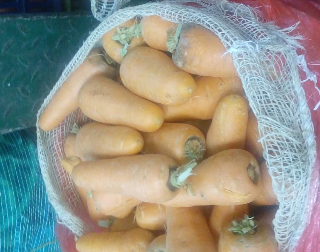 Zanahoria