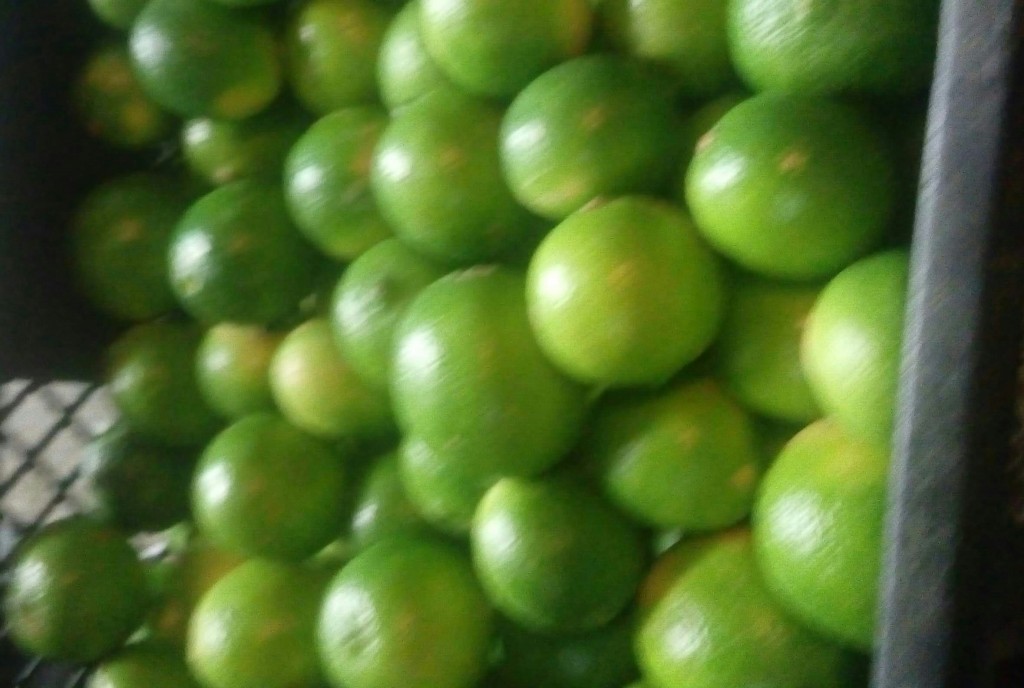 Limón