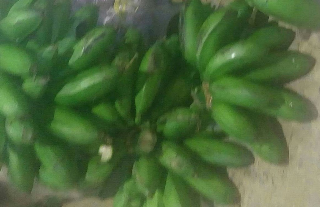Colicero