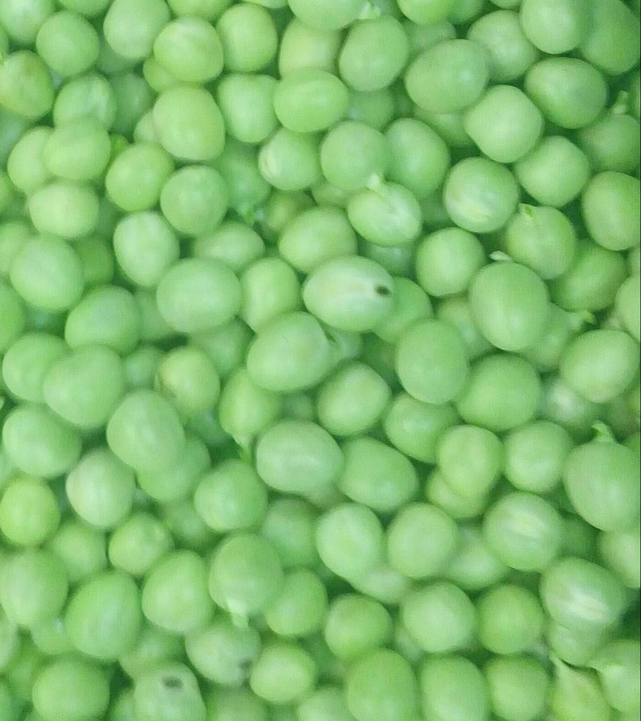 Arveja