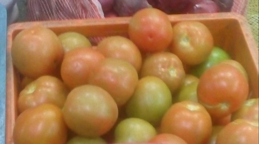 Tomate de primera