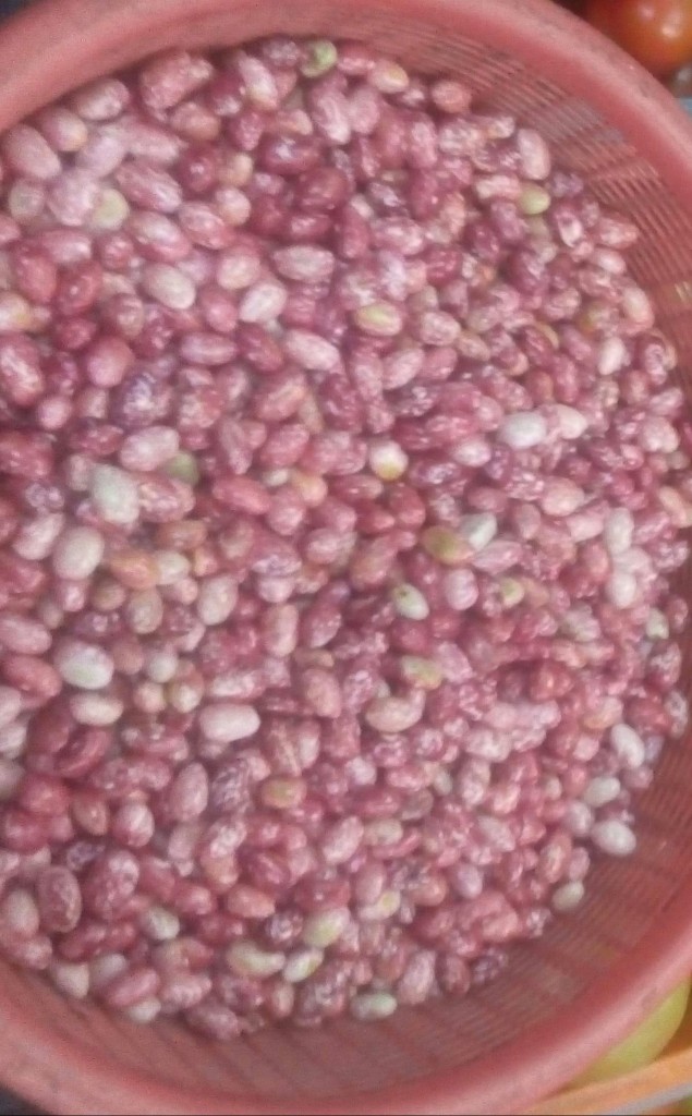 Tomate de primera
