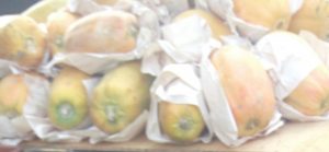 Papaya