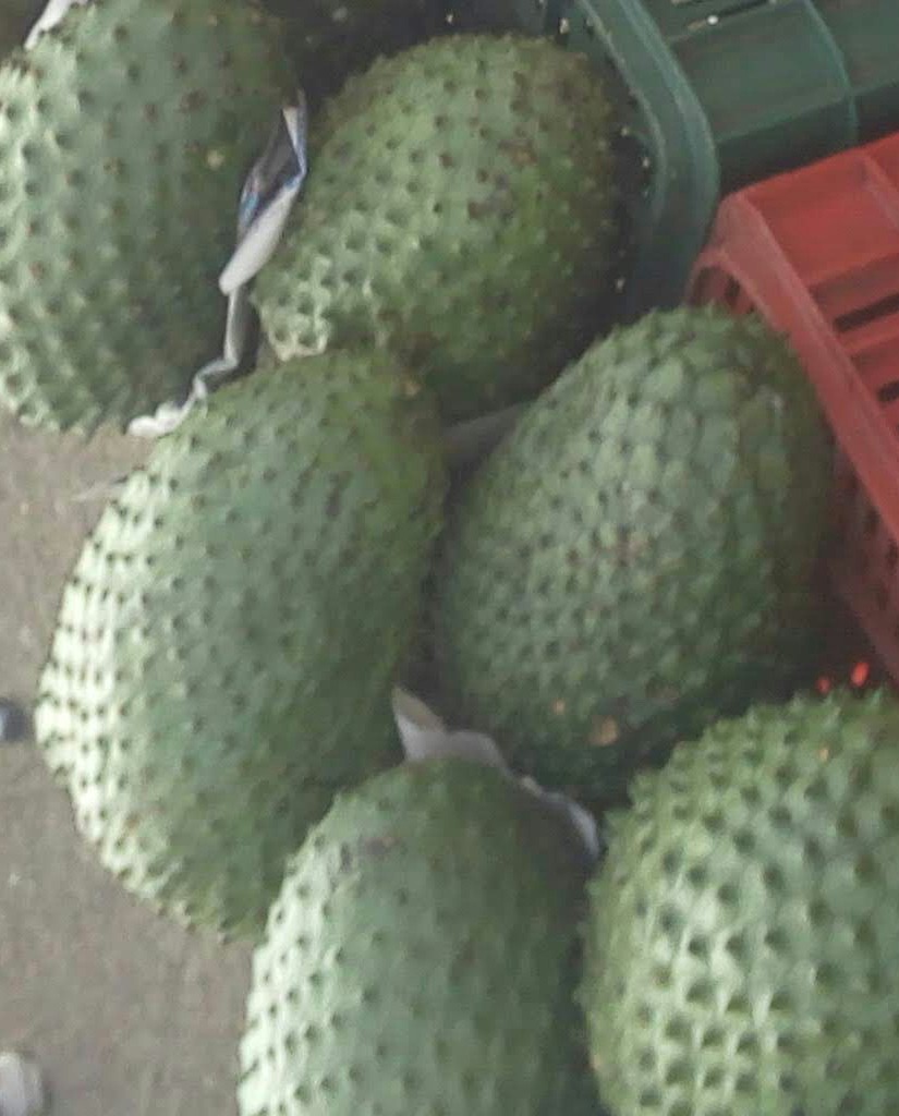Guanabana de primera
