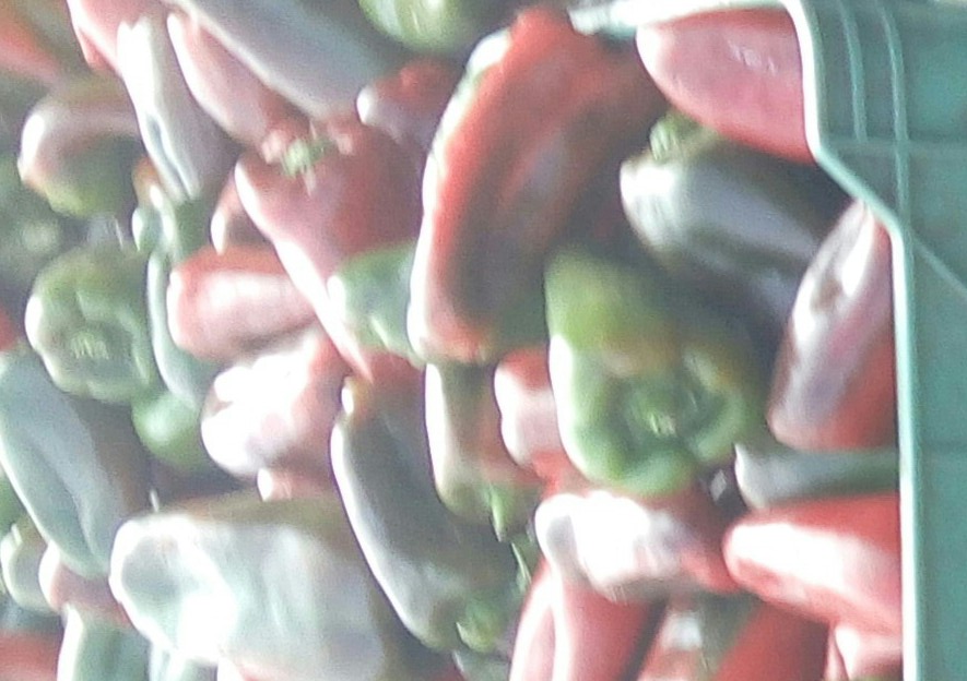 Pimentón