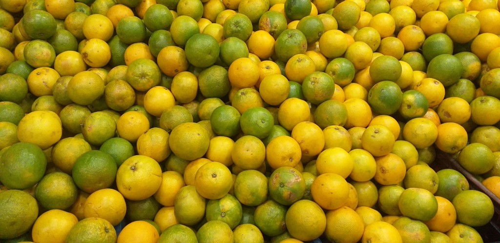 Naranja valencia