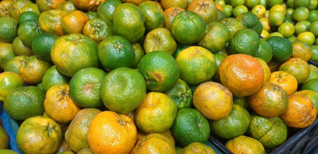 Mandarina oneco