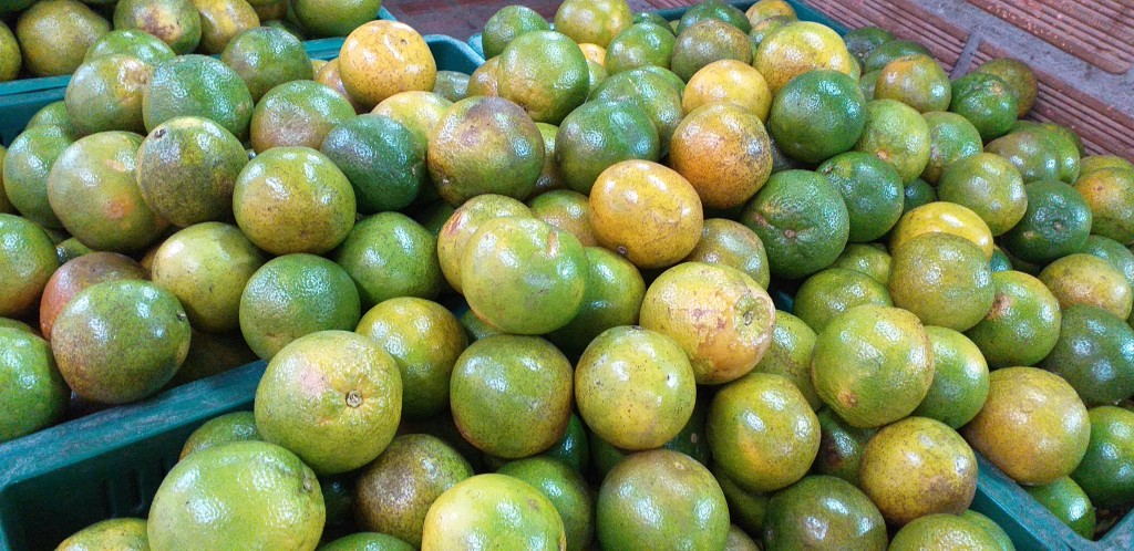Naranja valencia manchada