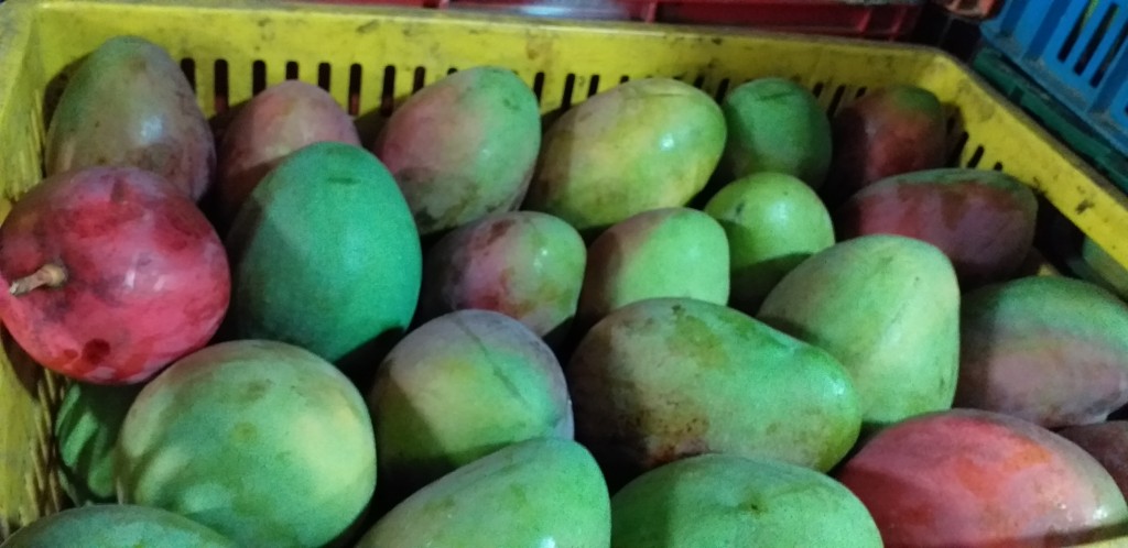Mango farchi