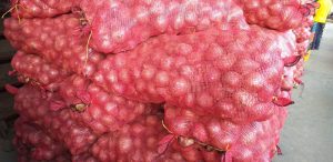 Cebolla peruana