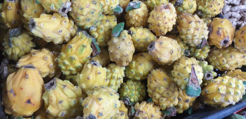 Pitahaya de 2da