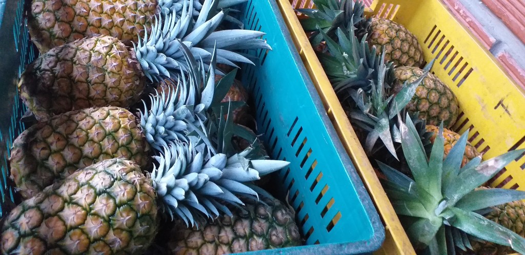 Piña oromiel