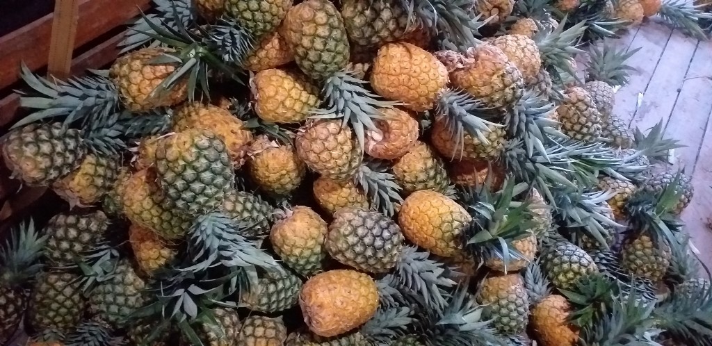 Piña oromiel delgada