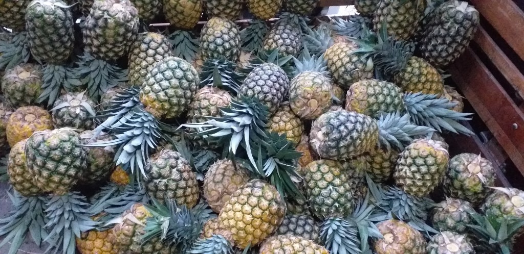 Piña oromiel pareja