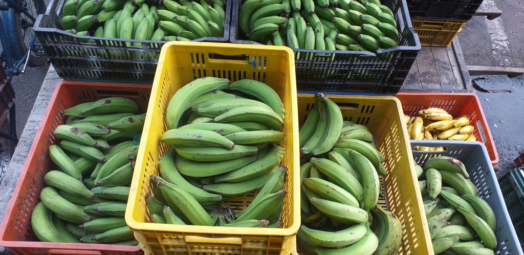 Platano verde
