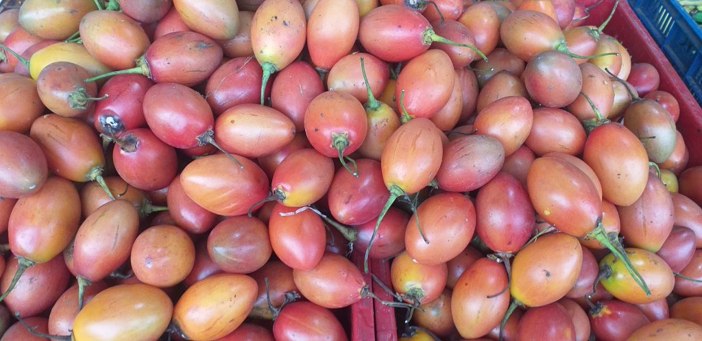 Tomate de arbol