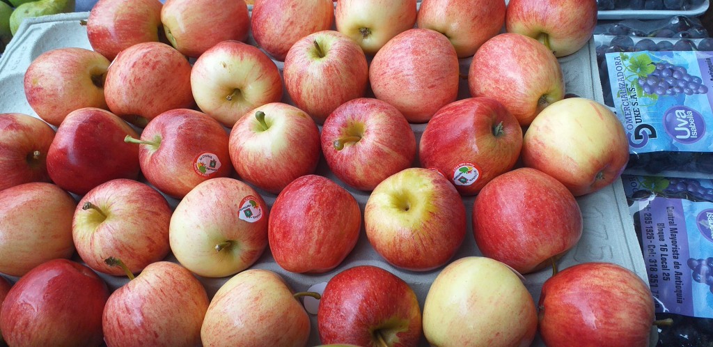 Manzana gala
