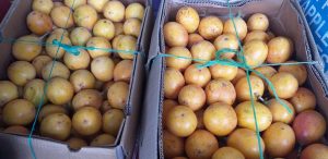Granadilla extra