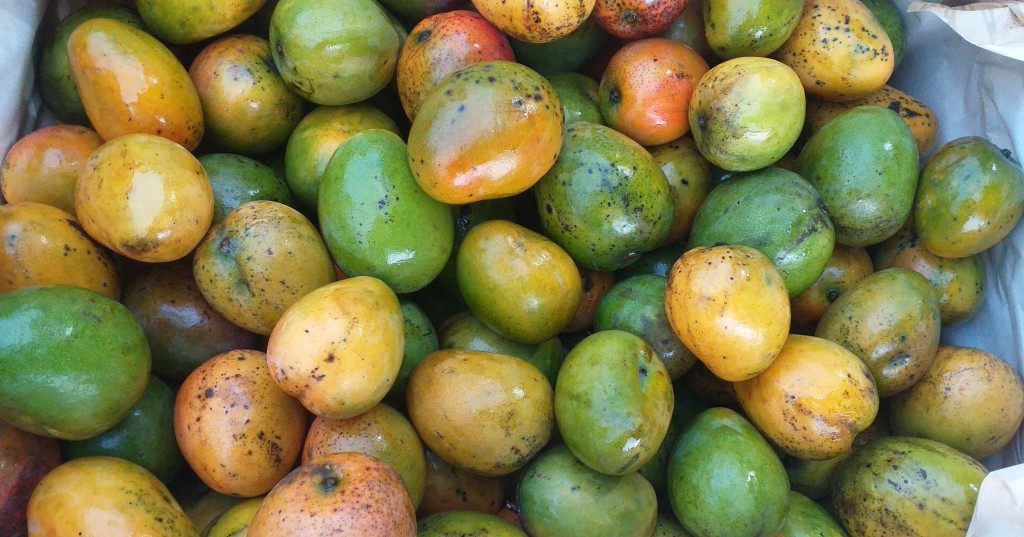 Mango criollo