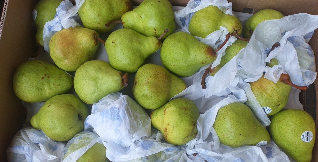 Pera gruesa