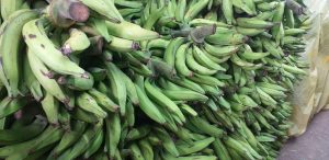 Platano verde de 1ra