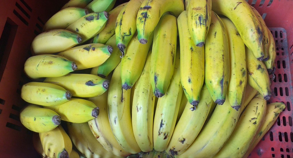 Banano maduro