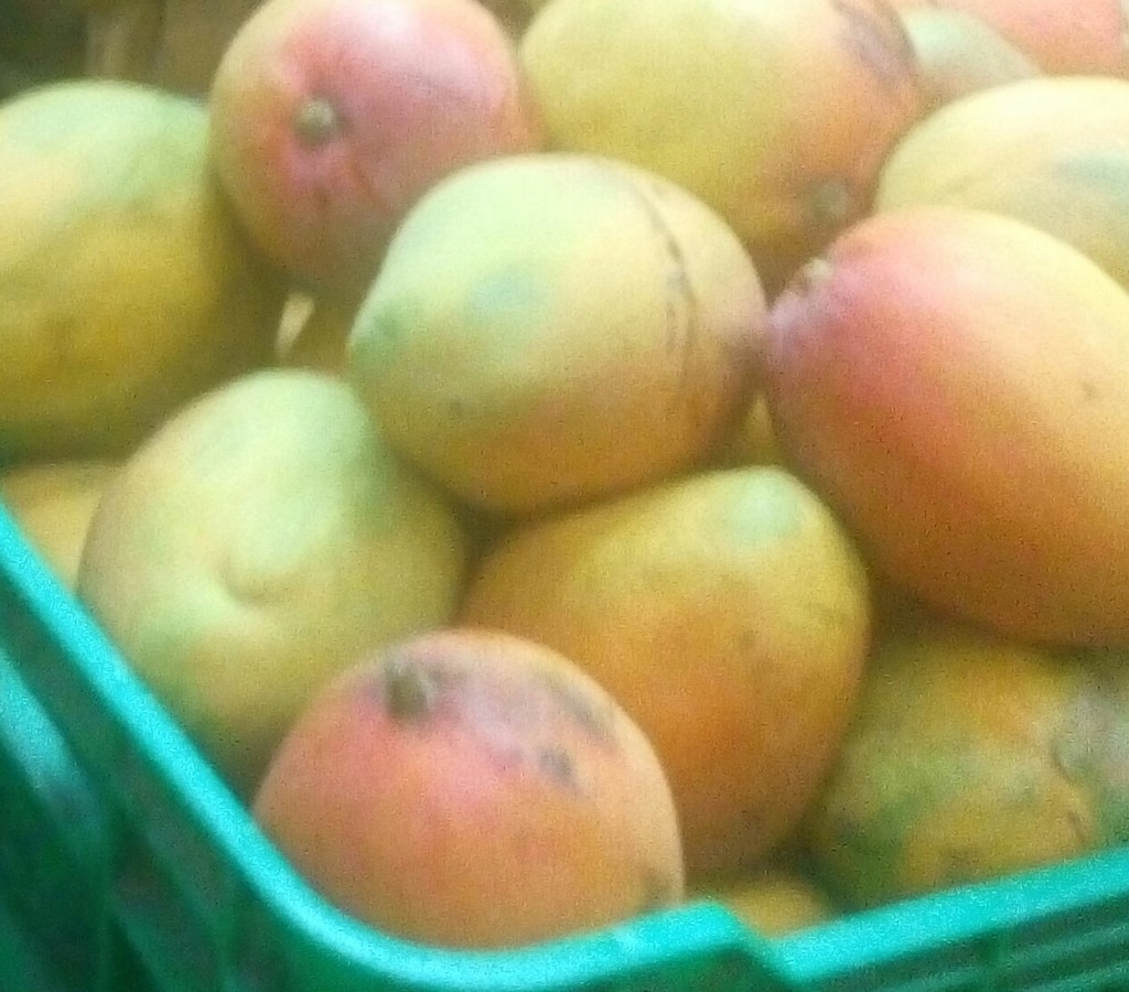 Mango yulima