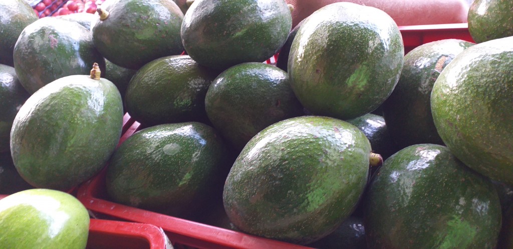 Aguacate choquette