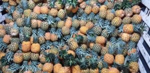 Piña oromiel