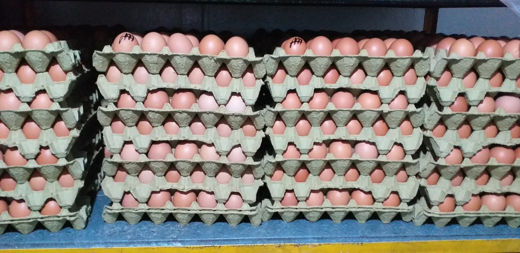 Huevos tipo AA