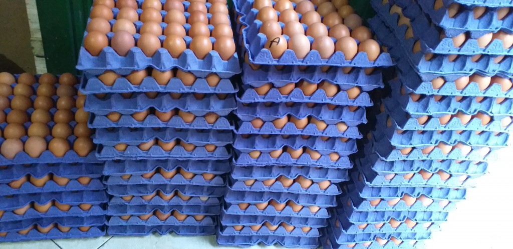 Huevos tipo A