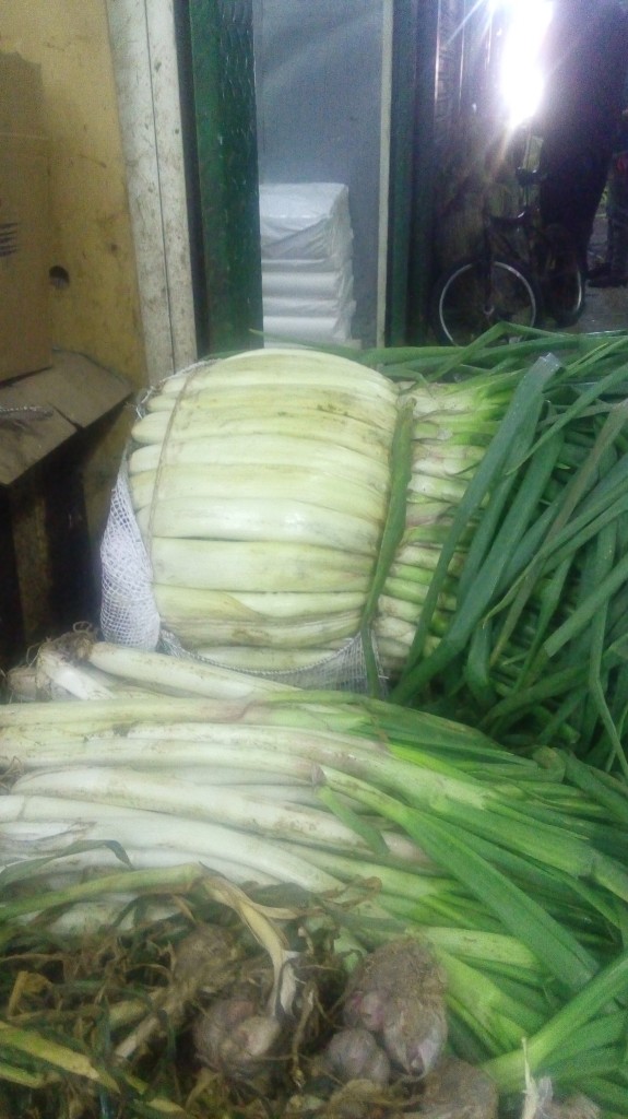 Cebolla cabezona fina